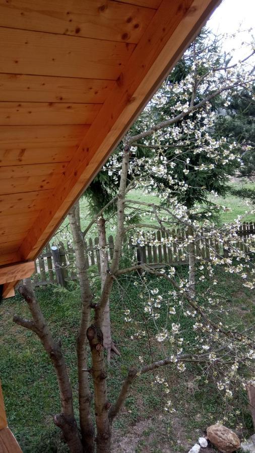 Pokoje u Adama Grajoka Szczawnica Exteriér fotografie