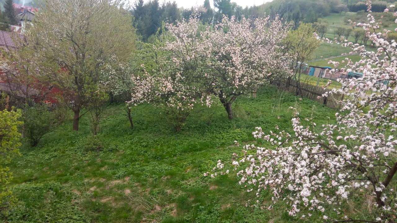 Pokoje u Adama Grajoka Szczawnica Exteriér fotografie